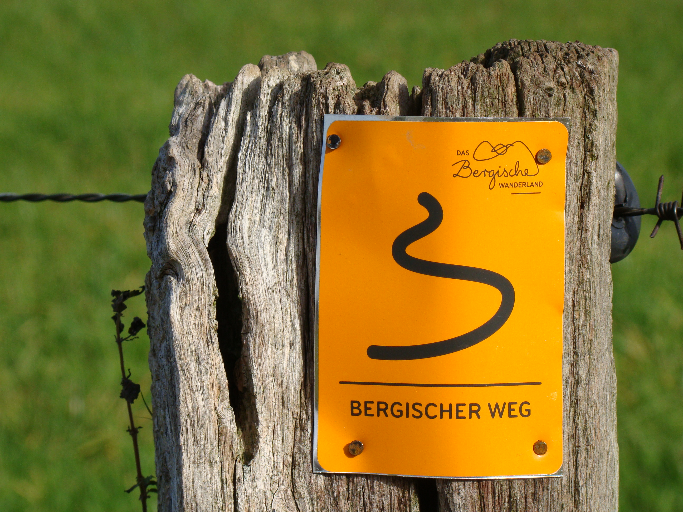 Logo Bergischer-weg- Markierungszeichen Copyright Maren Pussak